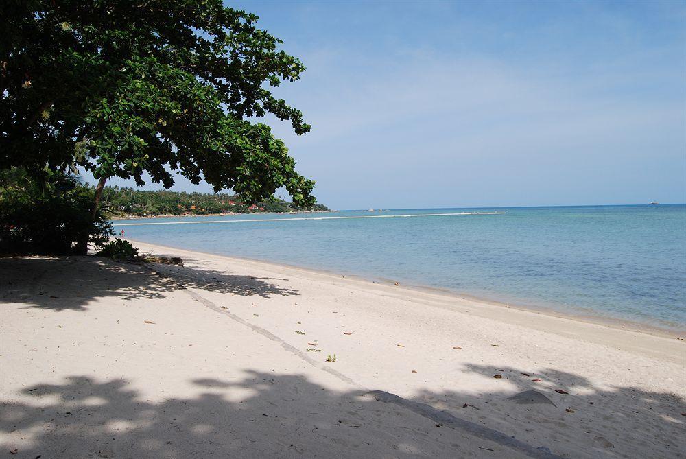 Rose Garden Samui Bungalows Παραλία Λαμάι Εξωτερικό φωτογραφία